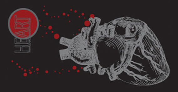 Free Anatomical Heart Vector Art