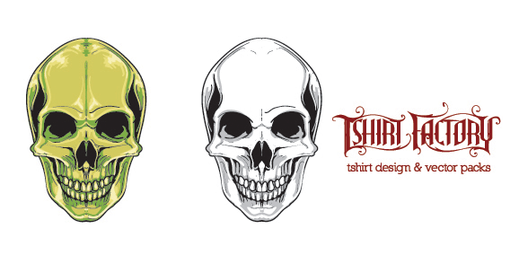 Human Skull Vector