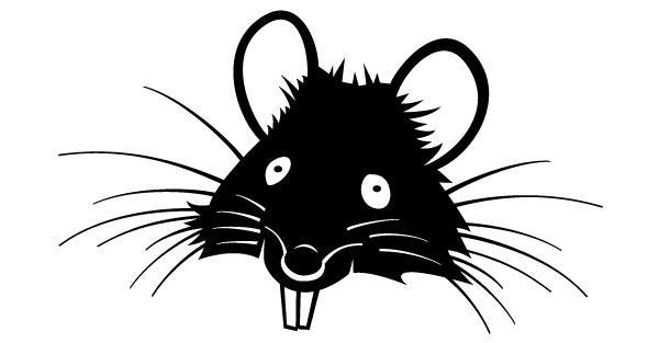 Rat with Big Teeth Image