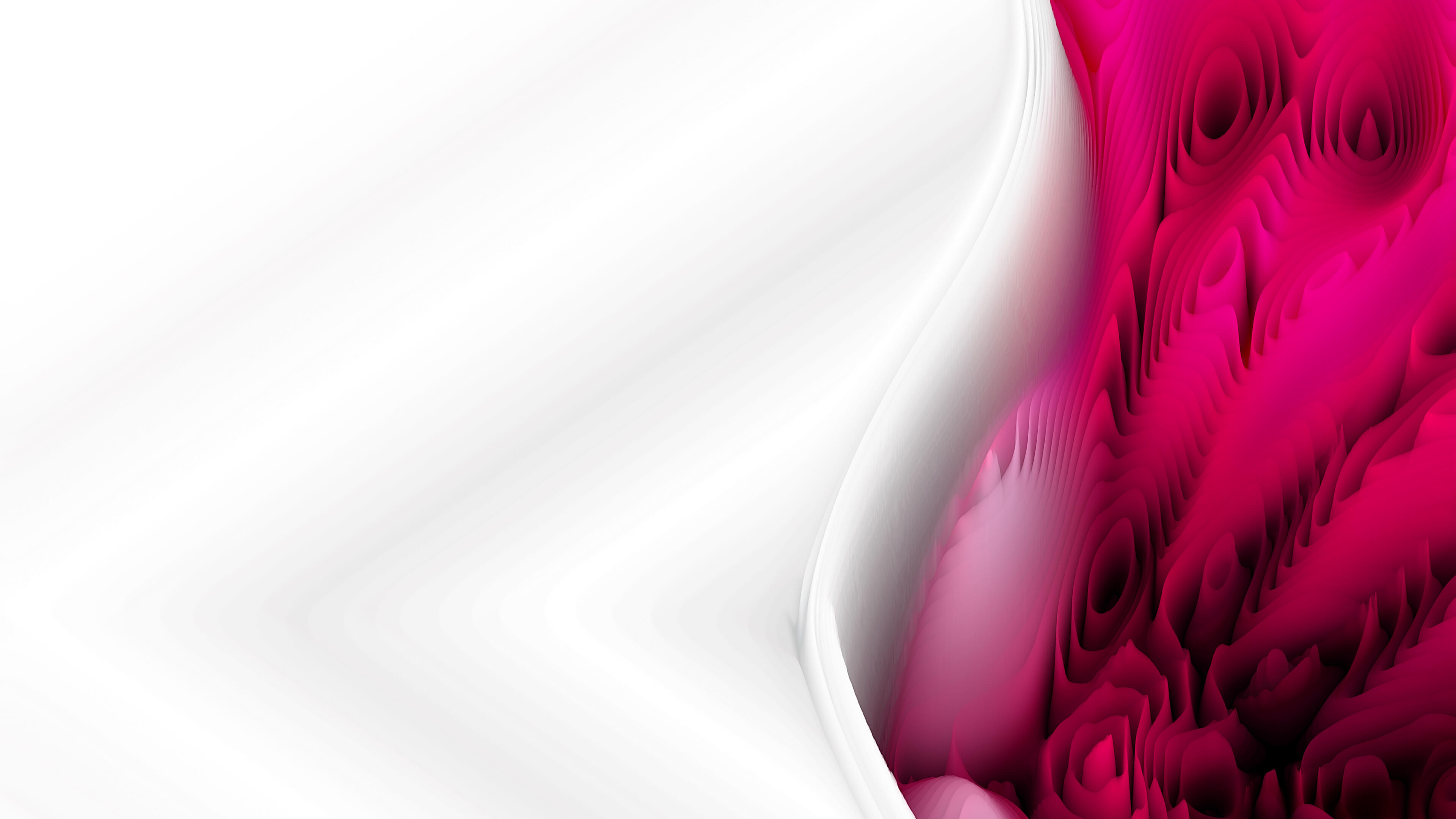 Abstract Pink and White Swirl