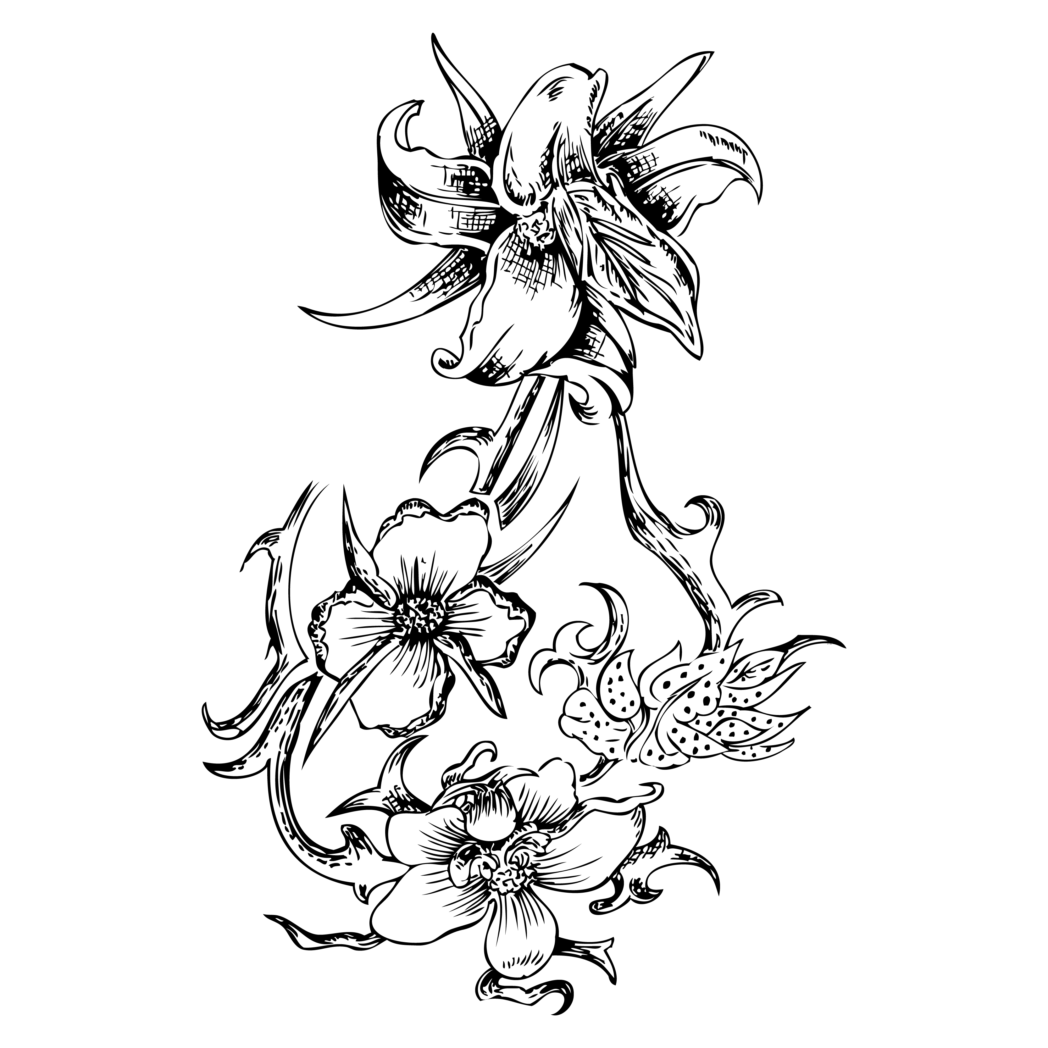 Floral Line Art