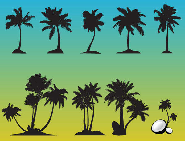 Palm Tree Free Vector Set