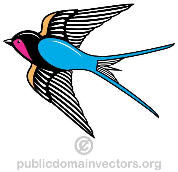 Flying Swallow Bird Vector Art