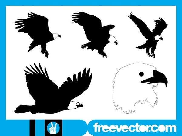 Bald Eagle Free Vector