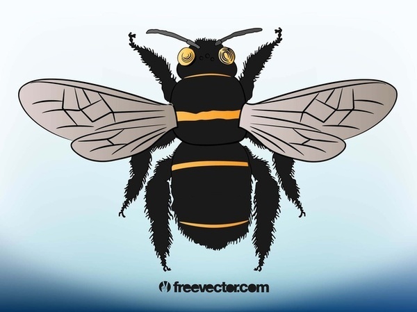 Bee Illustration Free Vector