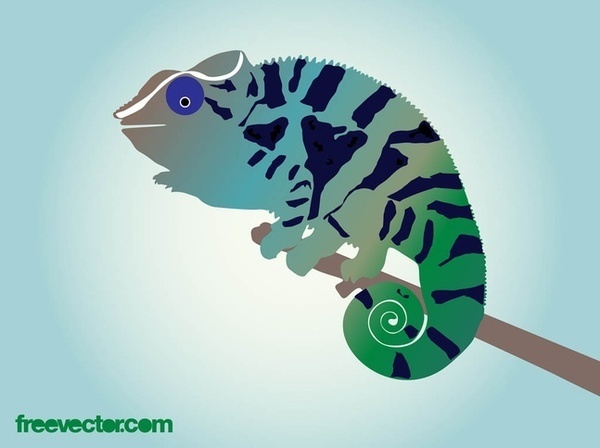 Chameleon Free Vector