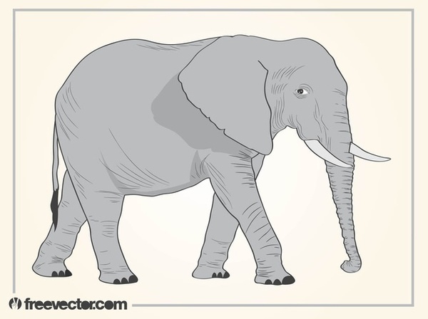 Elephant Free Vector
