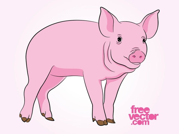 Pig Free Vector