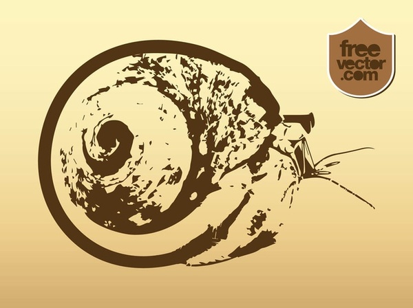 Snail Free Vector