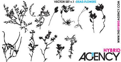 Free Vector Dead Flowers