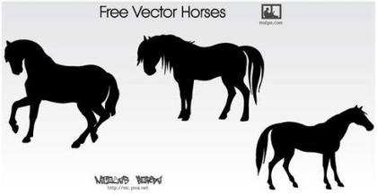Unleash Your Creativity with Our Remarkable Horse Vector Collection