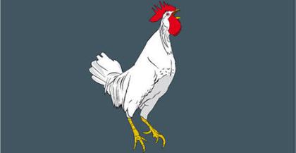 Cock Free Vector