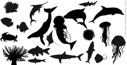 Fish Silhouettes Vector