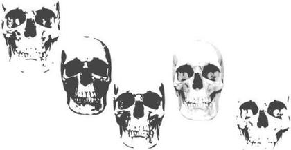 Free Vector Skulls