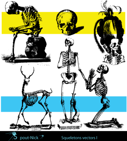 Free Skeleton Vector Art