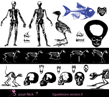 Free Skeleton Vector Images