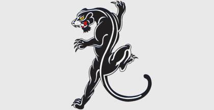 Black panther free vector