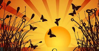 Embrace the Beauty of Sunset: An Exquisite Vector Design Collection
