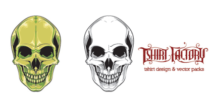 Human Skull Vector