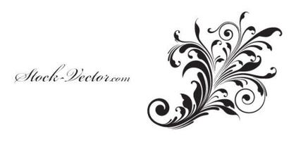 Free Vector Beautiful Flower