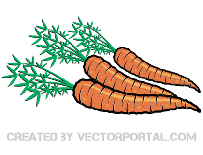 Carrot Vector Graphics