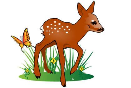 Fawn Nature Illustration