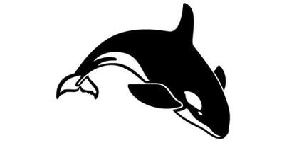 Orca free Vector