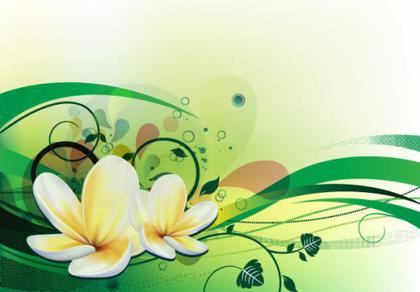 Vector Illustration with Plumeria