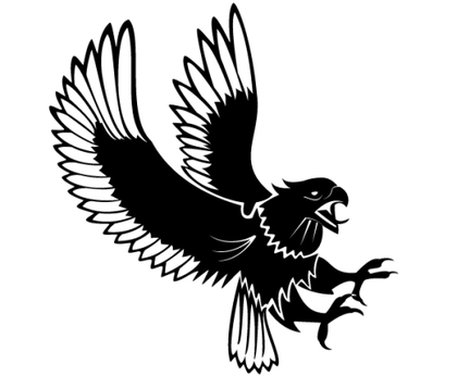 Eagle Attacking Vector