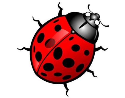 Ladybug Vector Image
