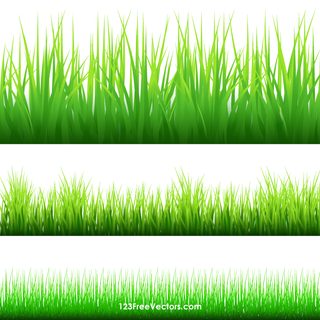 Grass Border Clip Art