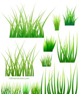 Green Grass Vector