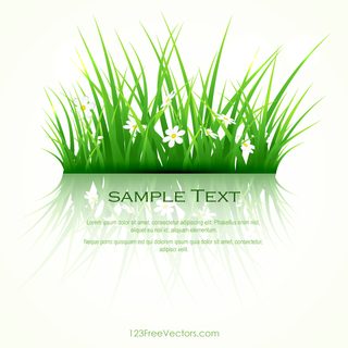Green Grass Background Clipart