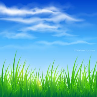Blue Sky and Green Grass Background