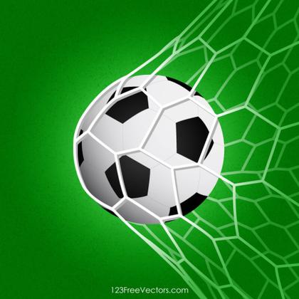 Soccer Ball in Net