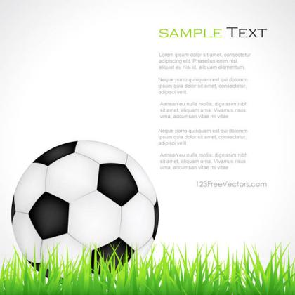 Soccer Ball on Green Grass Clipart
