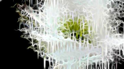 Abstract Neural Network