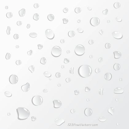 Water Drops on White Background