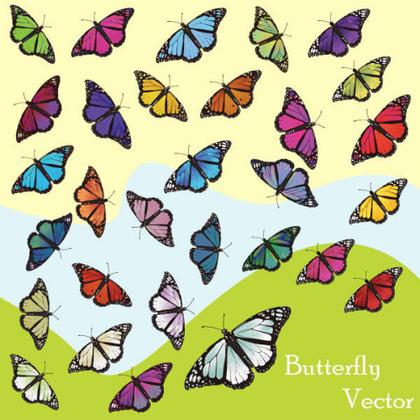 Butterfly Vector Art