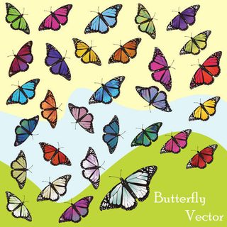 Butterfly Vector Art