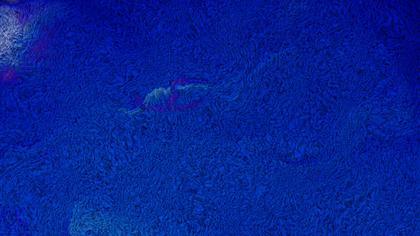 Wavy Blue Texture