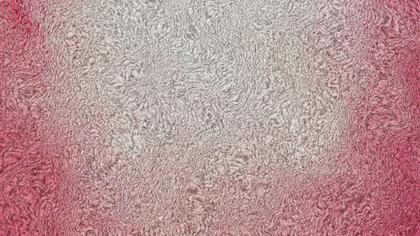 Furry Texture Abstract