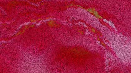 Crimson Abstract Texture