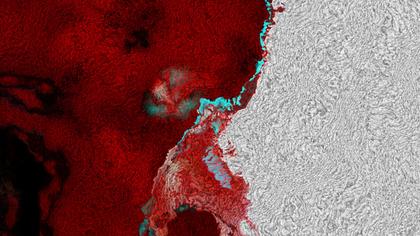 Abstract Texture in Red and Grey