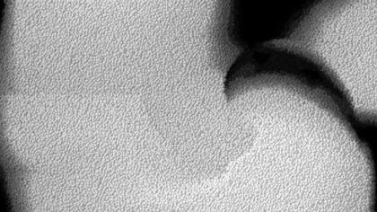 Textured Surface