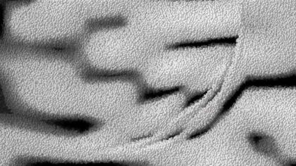 Textured Surface Abstract