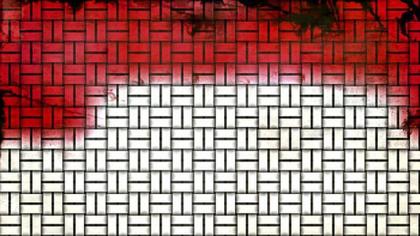 Woven Red and White Texture