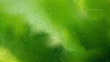 Dark Green Curved Lines and Textures