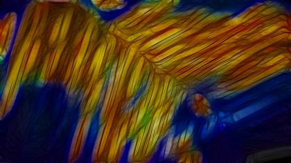 Abstract Flowing Lines