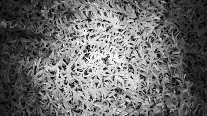 Abstract Brushstroke Texture